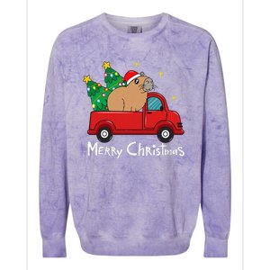 Capybara Christmas Ornament Truck Tree Funny Xmas Gift Colorblast Crewneck Sweatshirt