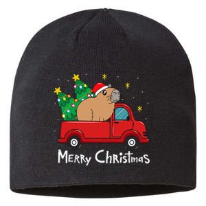 Capybara Christmas Ornament Truck Tree Funny Xmas Gift Sustainable Beanie