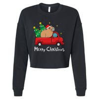 Capybara Christmas Ornament Truck Tree Funny Xmas Gift Cropped Pullover Crew