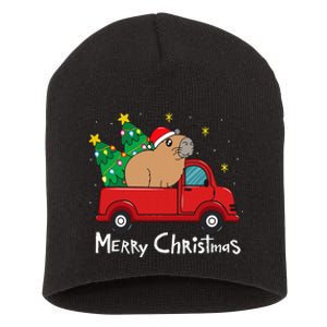 Capybara Christmas Ornament Truck Tree Funny Xmas Gift Short Acrylic Beanie