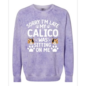 Calico Cat Owner Funny Calico Cat Dad Calico Cat Mom Gift Colorblast Crewneck Sweatshirt