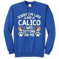 Calico Cat Owner Funny Calico Cat Dad Calico Cat Mom Gift Sweatshirt