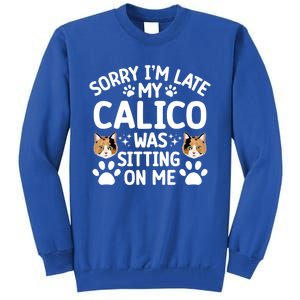 Calico Cat Owner Funny Calico Cat Dad Calico Cat Mom Gift Tall Sweatshirt