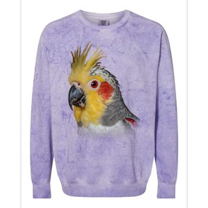 Captivating Cockatiel Portrait Colorblast Crewneck Sweatshirt