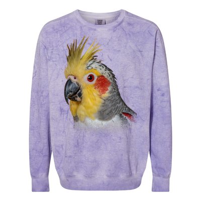 Captivating Cockatiel Portrait Colorblast Crewneck Sweatshirt