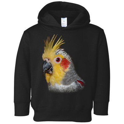 Captivating Cockatiel Portrait Toddler Hoodie
