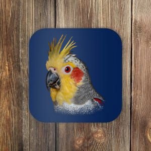 Captivating Cockatiel Portrait Coaster