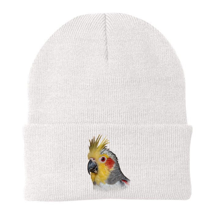 Captivating Cockatiel Portrait Knit Cap Winter Beanie