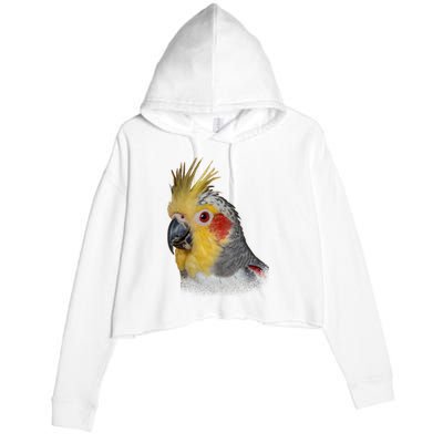 Captivating Cockatiel Portrait Crop Fleece Hoodie