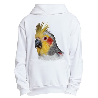 Captivating Cockatiel Portrait Urban Pullover Hoodie