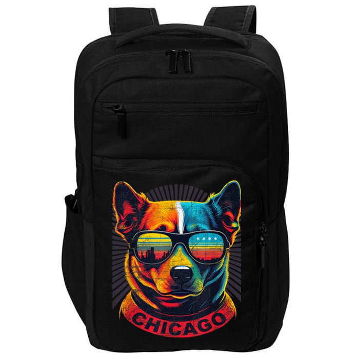 CHICAGO CITY PUP In SHADES With CITY FLAG Vintage Designer Impact Tech Backpack