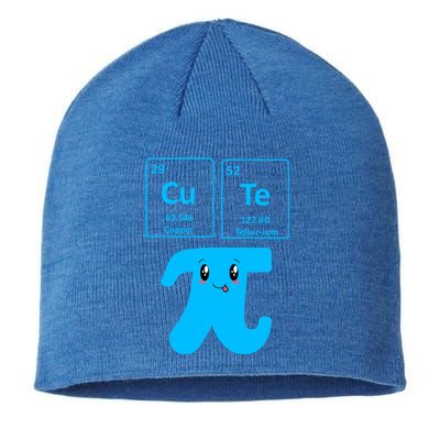 Cute Cutie Pi Pie Math Gift I Fun Math Geek Nerd Great Gift Sustainable Beanie