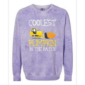 Cutest Coolest Pumpkin In The Patch Halloween Boys Gift Colorblast Crewneck Sweatshirt