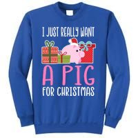 Cute Christmas Pig I Want A Pig Cool Gift Sweatshirt