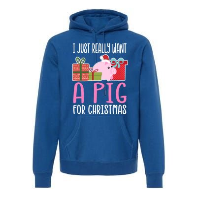 Cute Christmas Pig I Want A Pig Cool Gift Premium Hoodie