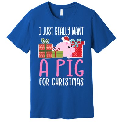 Cute Christmas Pig I Want A Pig Cool Gift Premium T-Shirt