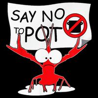 CFunny Crawfish Pun Say No To Pot Lobster Festival Wool Snapback Cap