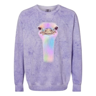 Cute Colorful Pastel Ostrich Colorblast Crewneck Sweatshirt