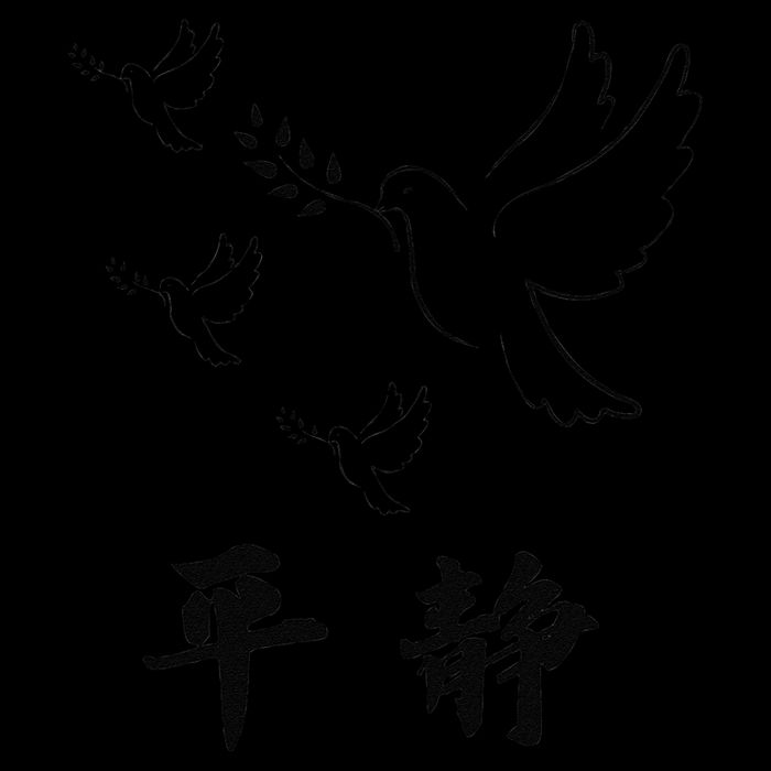 Chinese Characters Ping Jing Peace Tall T-Shirt