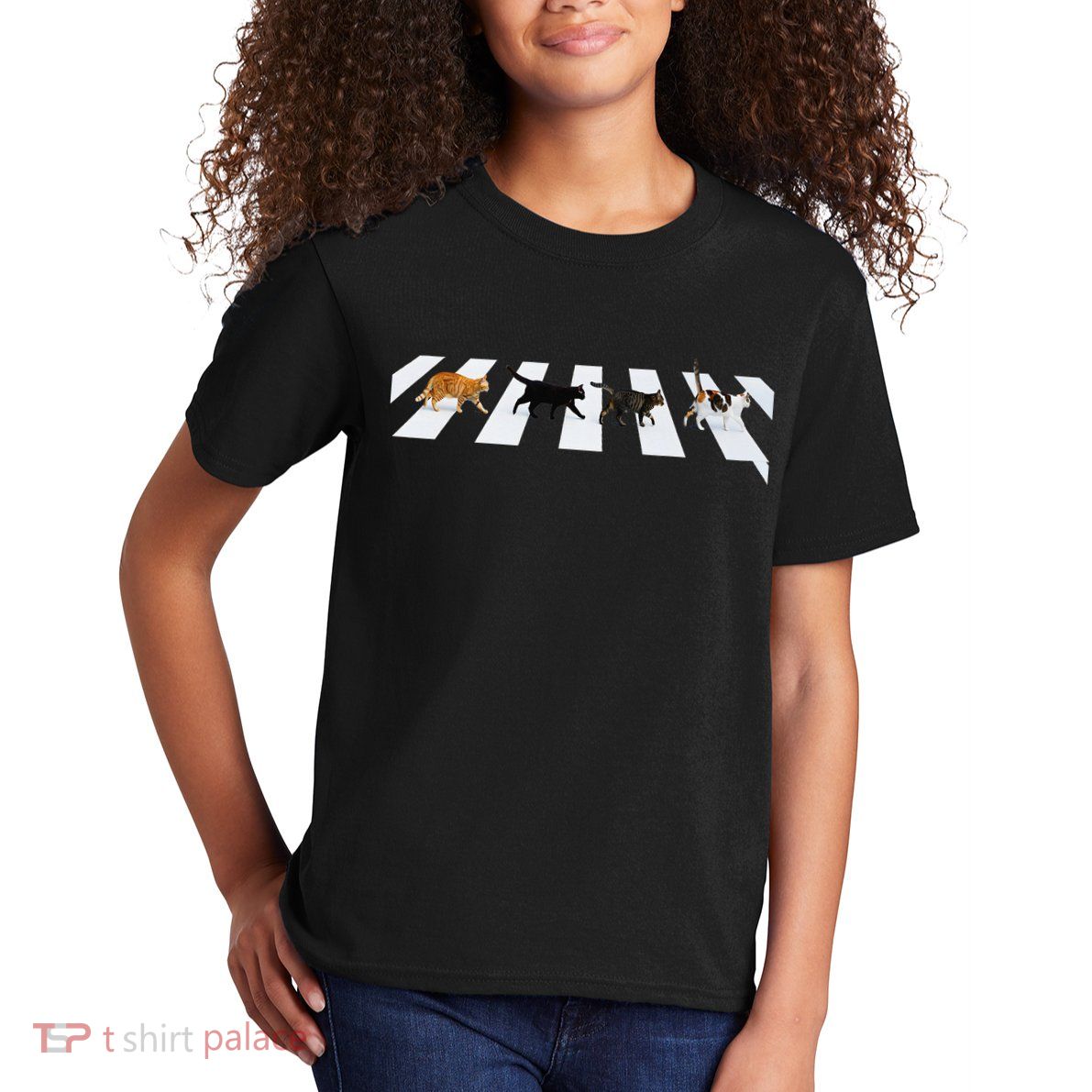 Cat Crosswalk Parody - Colorful Cats Crossing Road Funny Kids T-Shirt