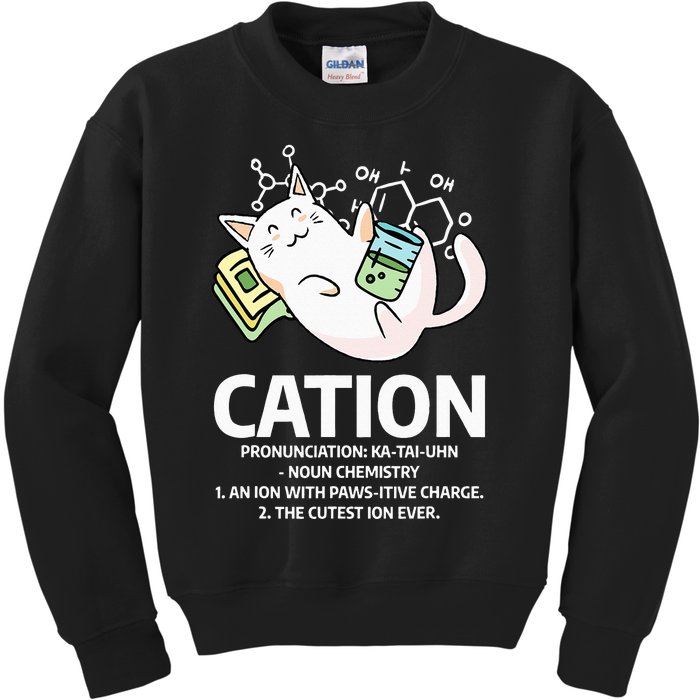 Cation Chemist Pet Cats Animal Chemistry Science Cat Lover Kids Sweatshirt