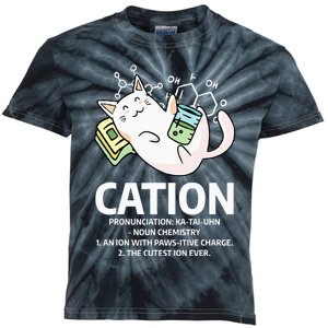 Cation Chemist Pet Cats Animal Chemistry Science Cat Lover Kids Tie-Dye T-Shirt