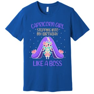 Cute Capricorn Queen Boss January Birthday Zodiac Gift Premium T-Shirt