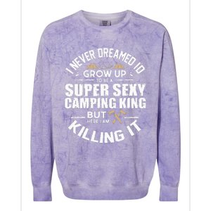 Camping Camper RV Camping Vacation Camping Dad Colorblast Crewneck Sweatshirt