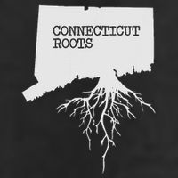 Connecticut Connecticut Roots State 7 Panel Mesh Trucker Snapback Hat