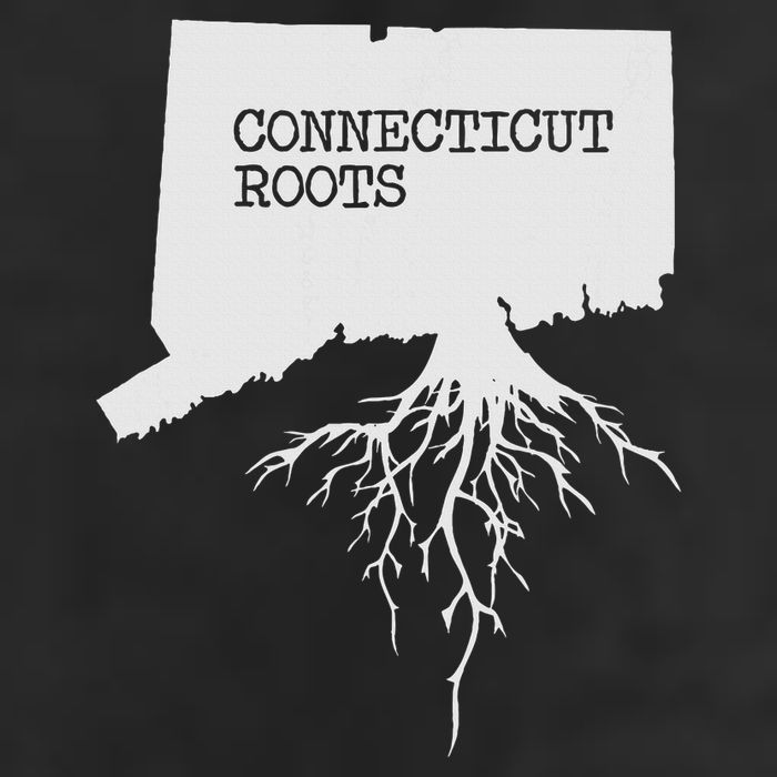 Connecticut Connecticut Roots State Adult Drive Performance Visor