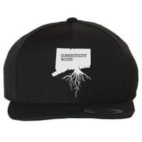 Connecticut Connecticut Roots State Wool Snapback Cap
