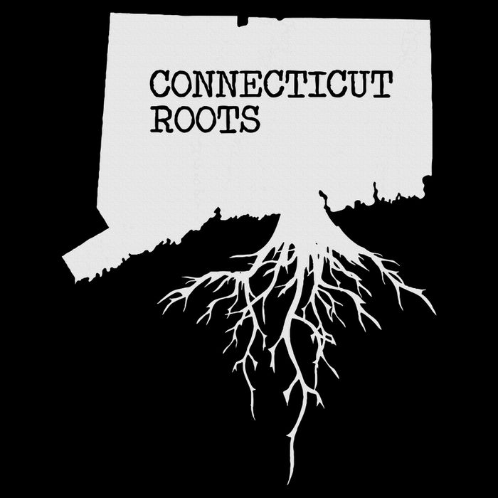 Connecticut Connecticut Roots State Wool Snapback Cap