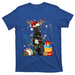 Cane Corso Reindeer Christmas Lights Funny Dog Xmas Gift T-Shirt