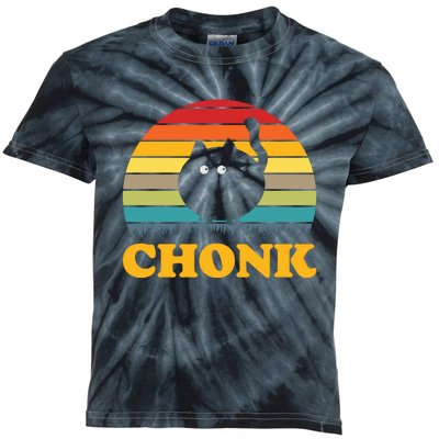 Chonk Cat Retro Vintage Kids Tie-Dye T-Shirt