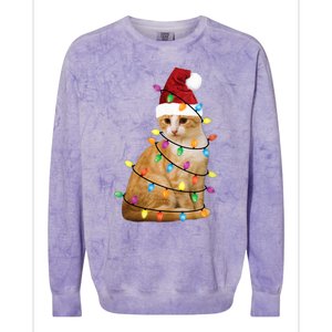 Cat Christmas Ree Santa Funny Xmas Cat Lover Colorblast Crewneck Sweatshirt