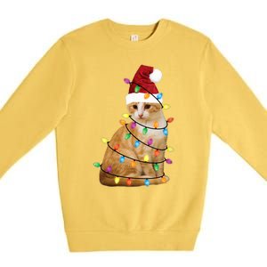 Cat Christmas Ree Santa Funny Xmas Cat Lover Premium Crewneck Sweatshirt