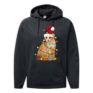 Cat Christmas Ree Santa Funny Xmas Cat Lover Performance Fleece Hoodie