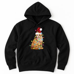 Cat Christmas Ree Santa Funny Xmas Cat Lover Hoodie