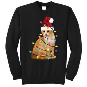 Cat Christmas Ree Santa Funny Xmas Cat Lover Sweatshirt