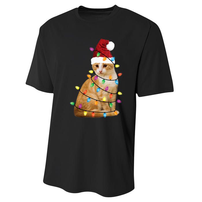 Cat Christmas Ree Santa Funny Xmas Cat Lover Performance Sprint T-Shirt