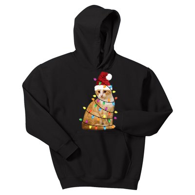 Cat Christmas Ree Santa Funny Xmas Cat Lover Kids Hoodie