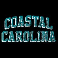 Coastal Carolina Retro Arch Logo 16 in Basic Backpack