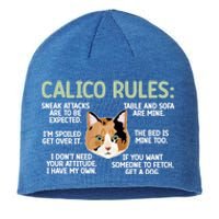 Calico Cat Rules Calico Cat Lover Calico Cat Owner Gift Sustainable Beanie