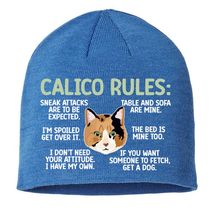 Calico Cat Rules Calico Cat Lover Calico Cat Owner Gift Sustainable Beanie