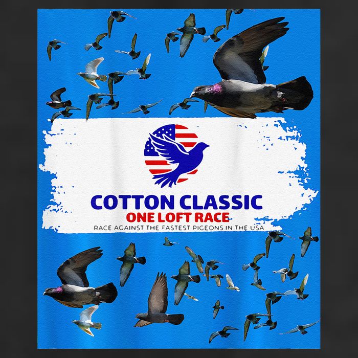 Cotton Classic Racing Pigeons One Loft Race 11oz C Handle Ceramic Mug