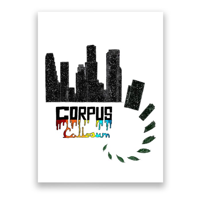 Corpus Callosum Science And Art Novelty Poster