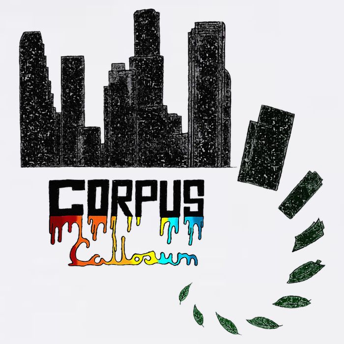 Corpus Callosum Science And Art Novelty Crop Top