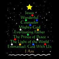 Christian Christmas S Bible Names Of Jesus Gift Tree Cooling Performance Long Sleeve Crew