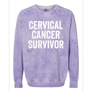 Cervical Cancer Survivor Gift Colorblast Crewneck Sweatshirt