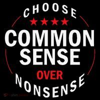 Choose Common Sense Over Nonsense Sustainable Beanie